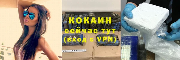 PSILOCYBIN Бронницы