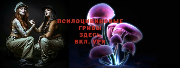 тгк Верея