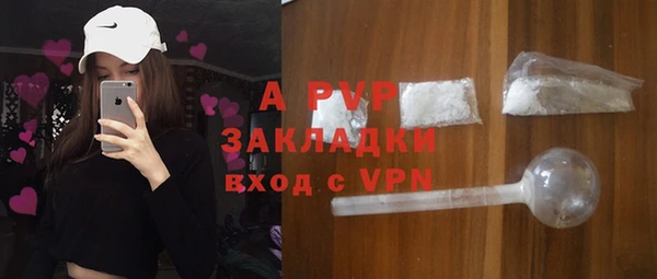 дживик Верхний Тагил