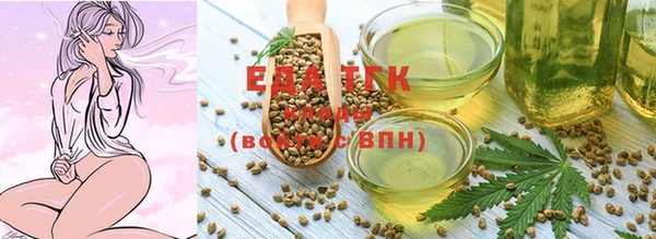 дживик Верхний Тагил