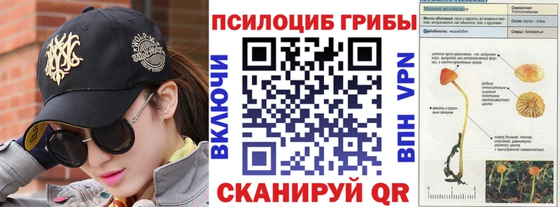 Псилоцибиновые грибы Magic Shrooms  блэк спрут ТОР  Верхняя Тура 